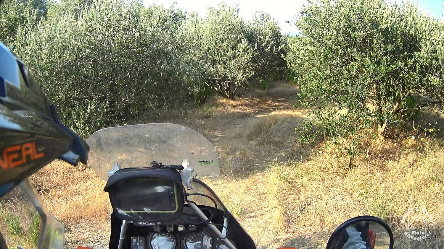 Riding the motorcycle in the olive grove