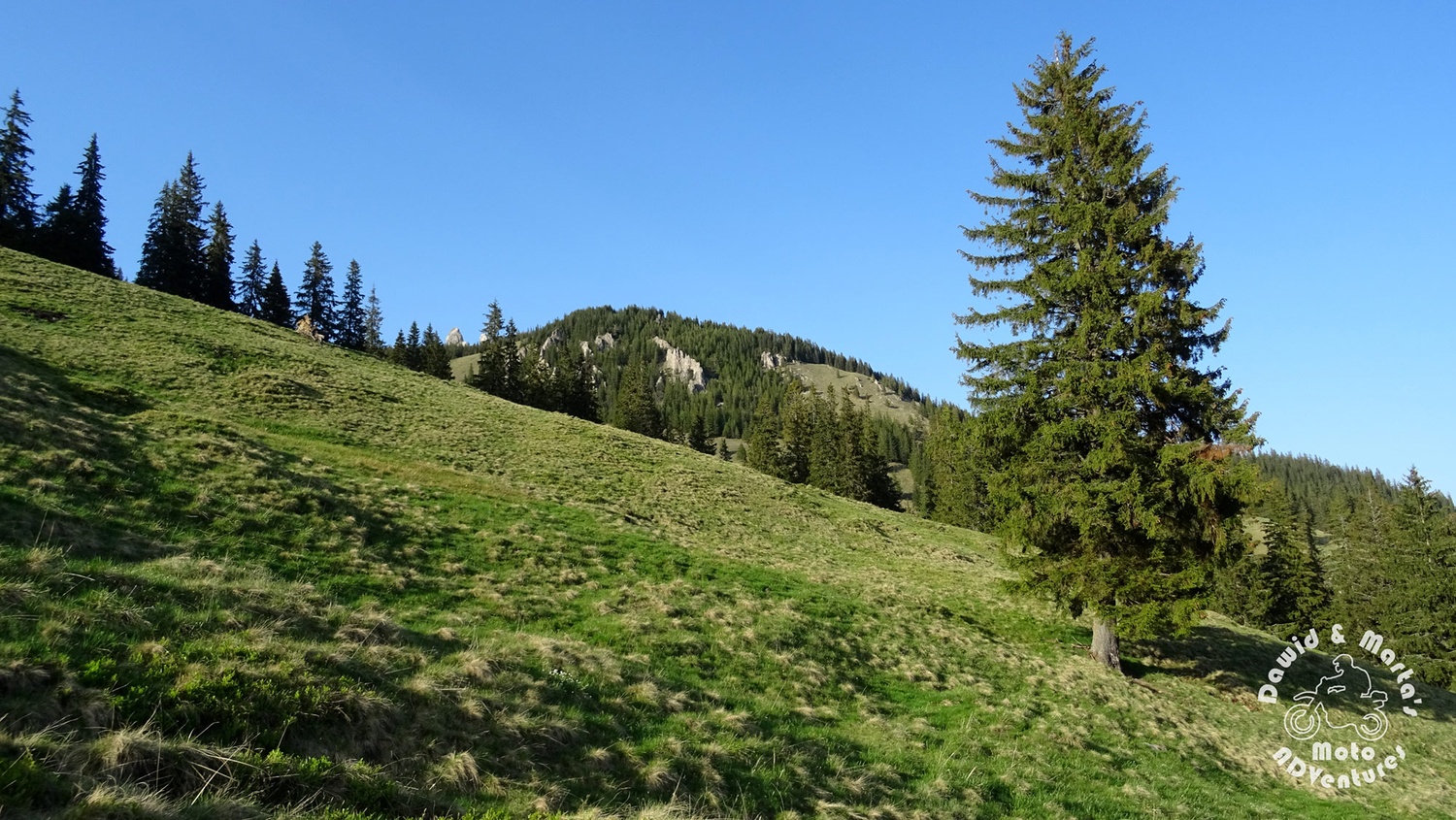 Transrarau Rarau mountain hill sides soaked with fresh green color