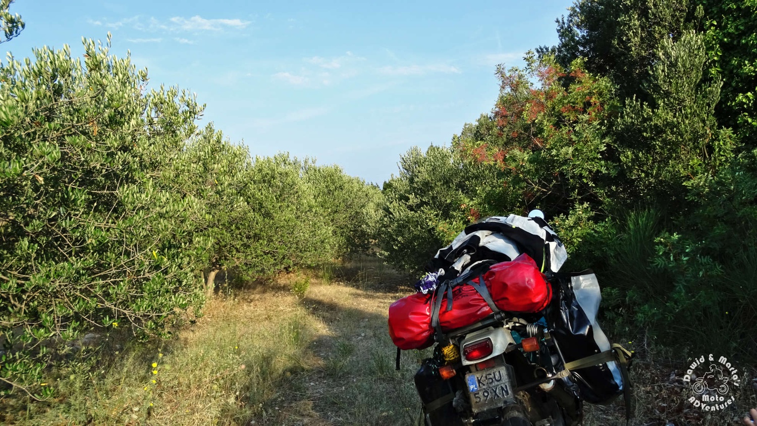 Africa Twin in the olive grove in Croatia